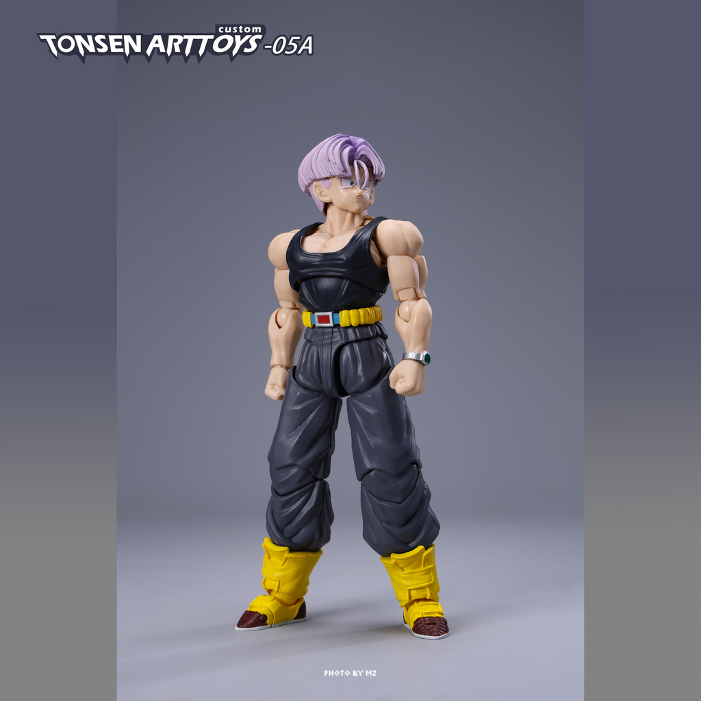 (USA STOCK) TonsenArtToys Warped Vengeance 05a