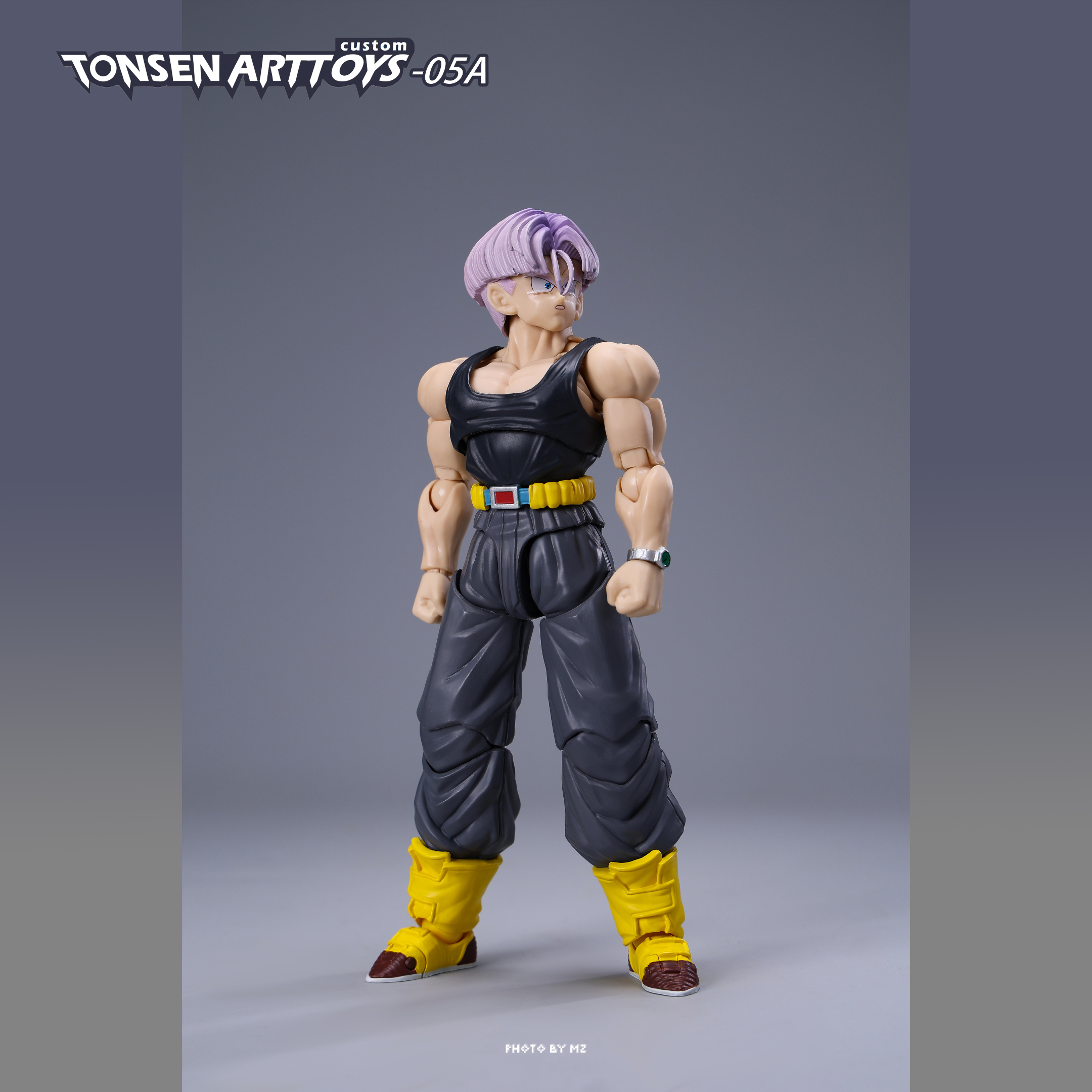 (USA STOCK) TonsenArtToys Warped Vengeance 05a
